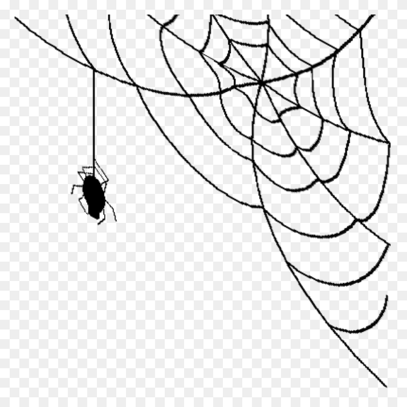 Detail Free Spider Web Clipart Nomer 43