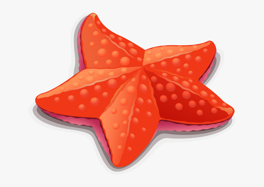 Detail Free Starfish Clipart Nomer 18