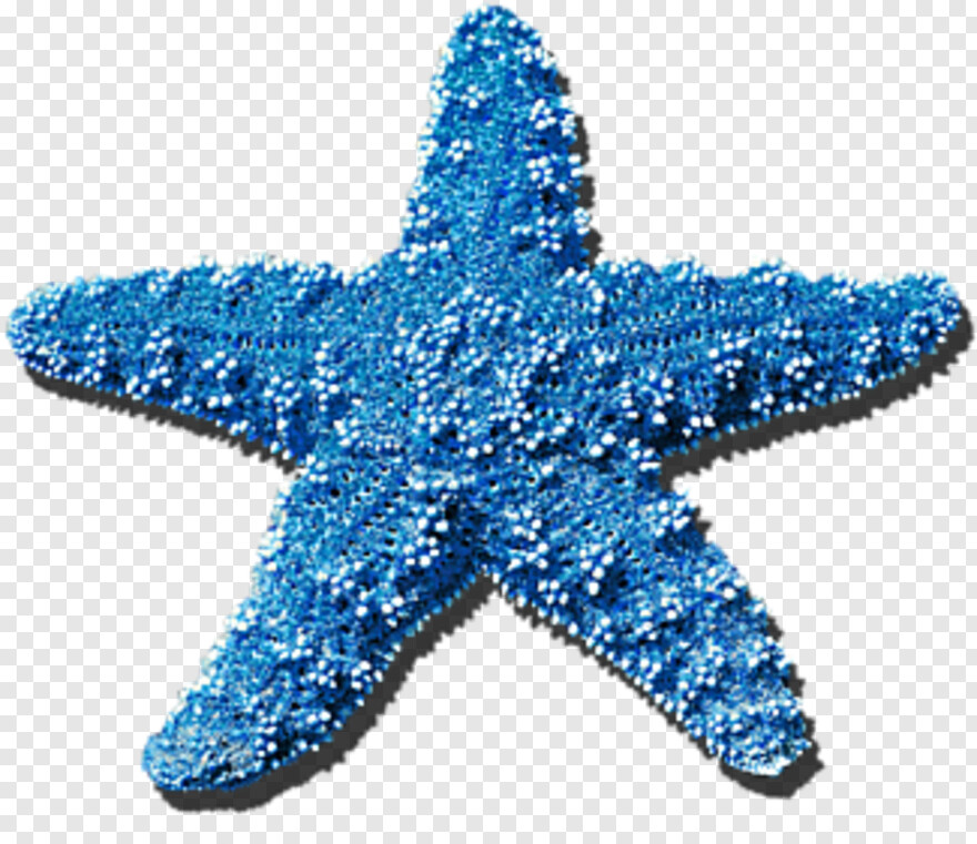 Detail Free Starfish Clipart Nomer 21