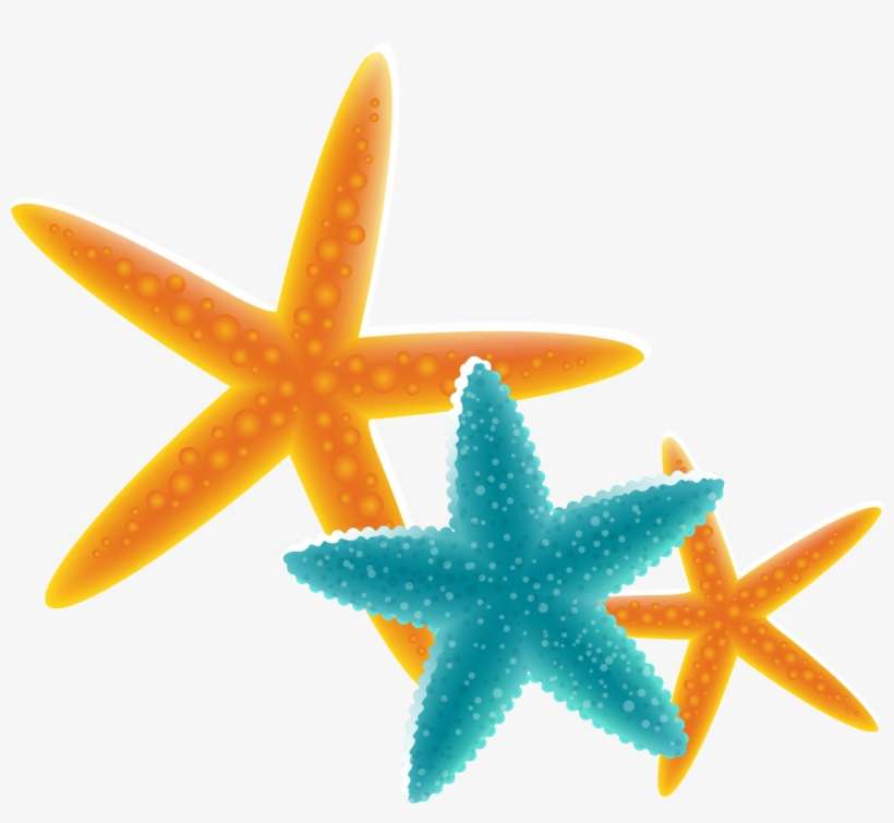 Detail Free Starfish Clipart Nomer 4