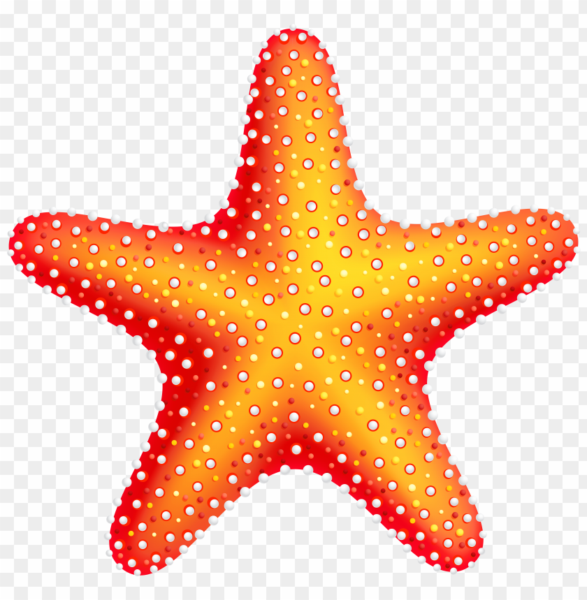Detail Free Starfish Clipart Nomer 6