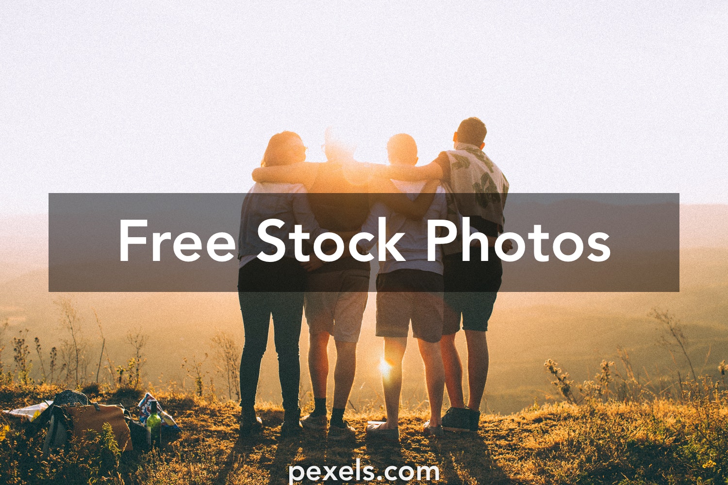 Download Free Stock Foto Nomer 12