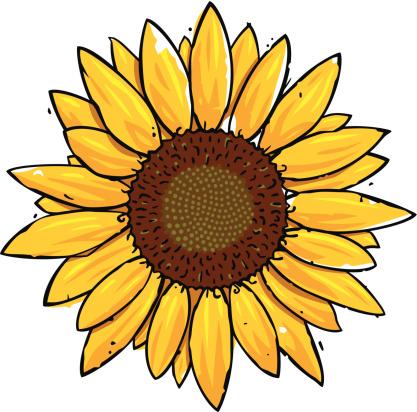 Detail Free Sunflower Clipart Nomer 14