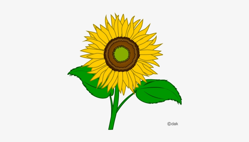 Detail Free Sunflower Clipart Nomer 38