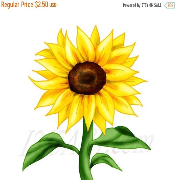 Detail Free Sunflower Clipart Nomer 42