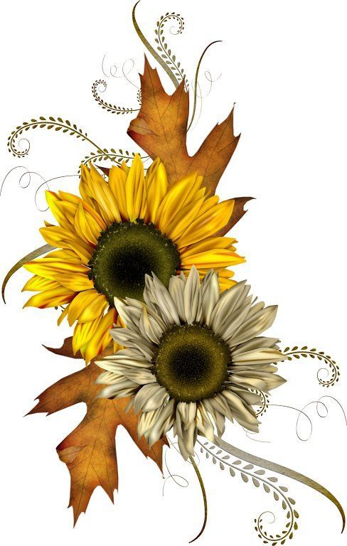 Detail Free Sunflower Clipart Nomer 46