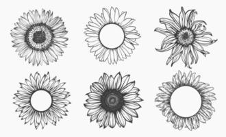 Detail Free Sunflower Clipart Nomer 51