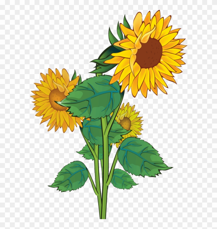 Detail Free Sunflower Clipart Nomer 6