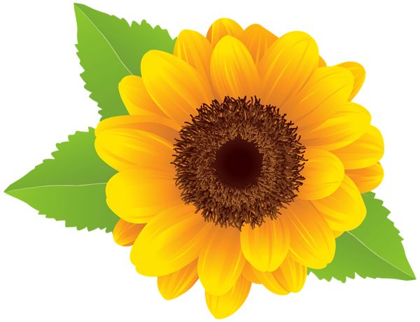 Detail Free Sunflower Clipart Nomer 8