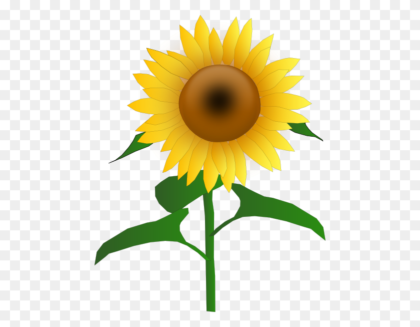Detail Free Sunflower Clipart Nomer 9