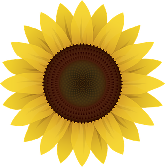 Detail Free Sunflower Images Nomer 17