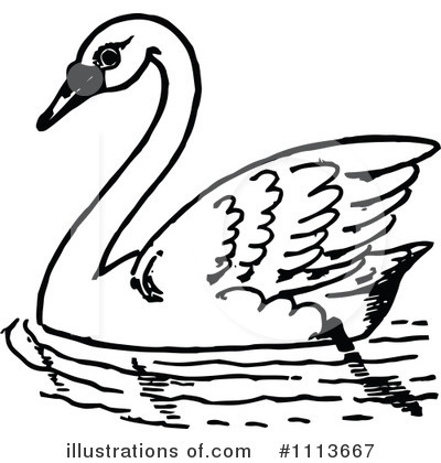 Detail Free Swan Clipart Nomer 22