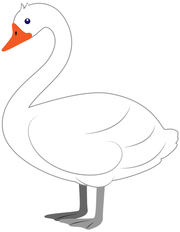 Detail Free Swan Clipart Nomer 27