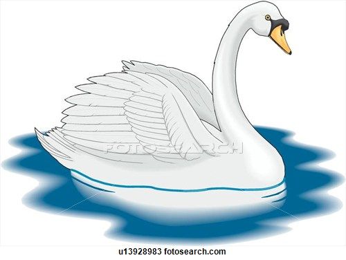 Detail Free Swan Clipart Nomer 7