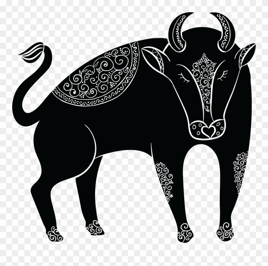 Detail Free Taurus Nomer 7