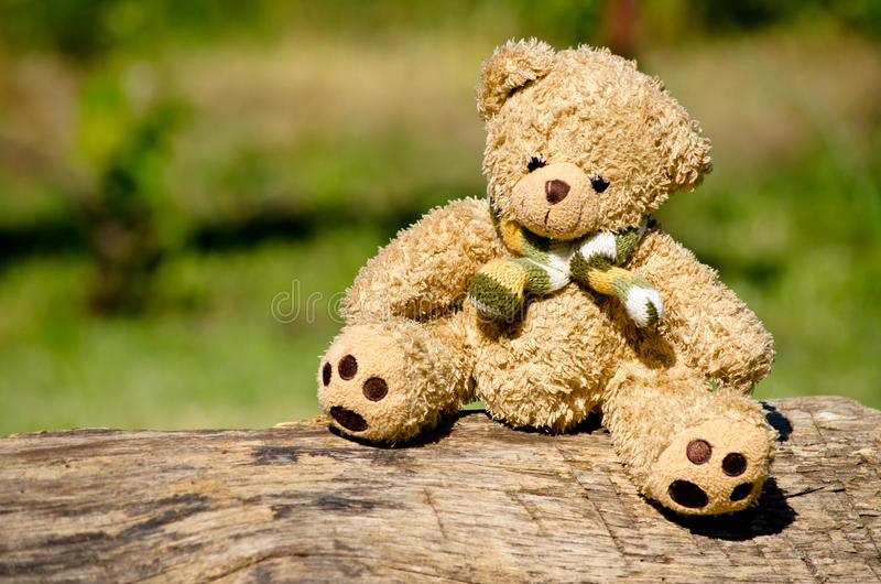 Detail Free Teddy Bear Images Nomer 4