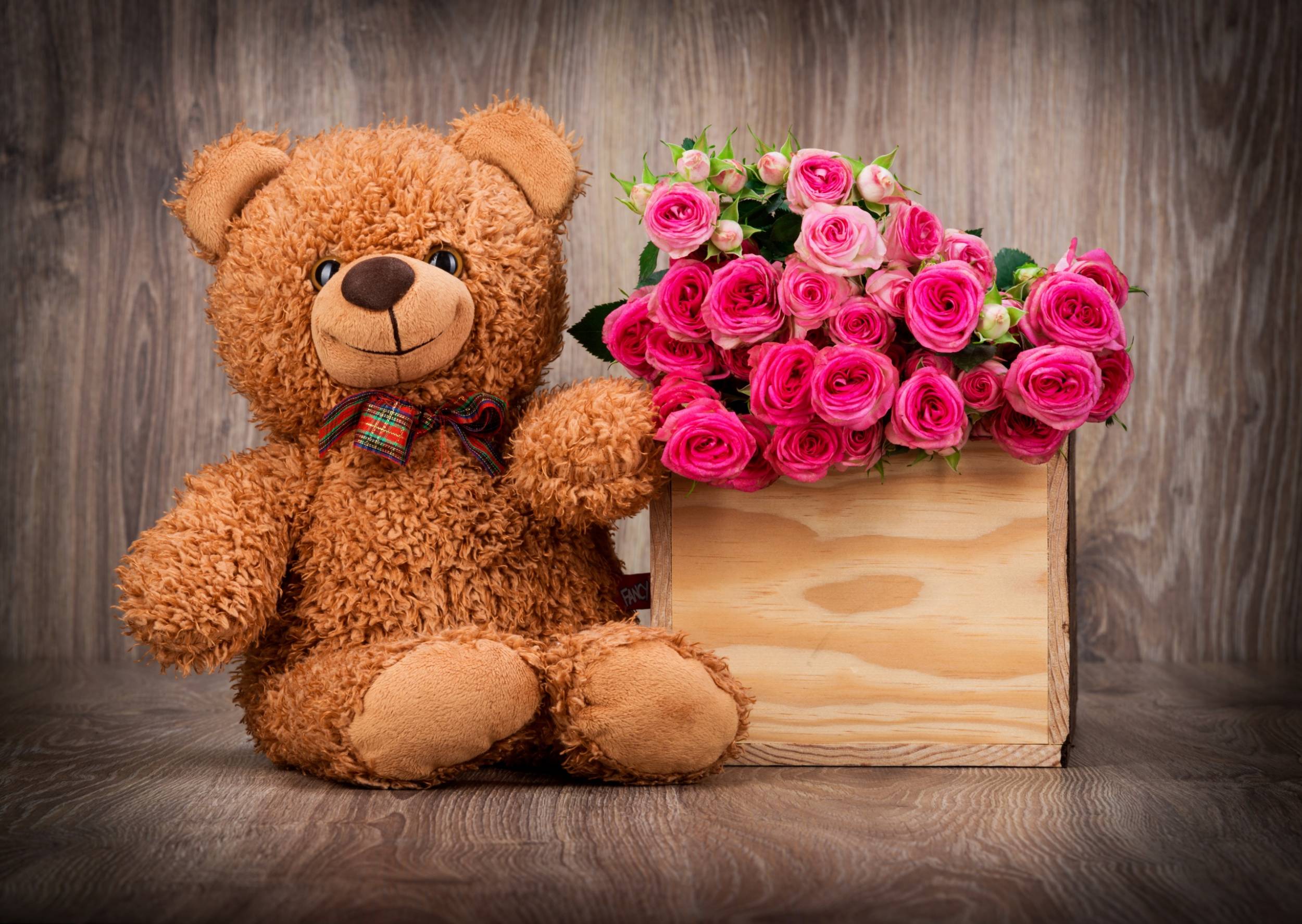 Detail Free Teddy Bear Images Nomer 32