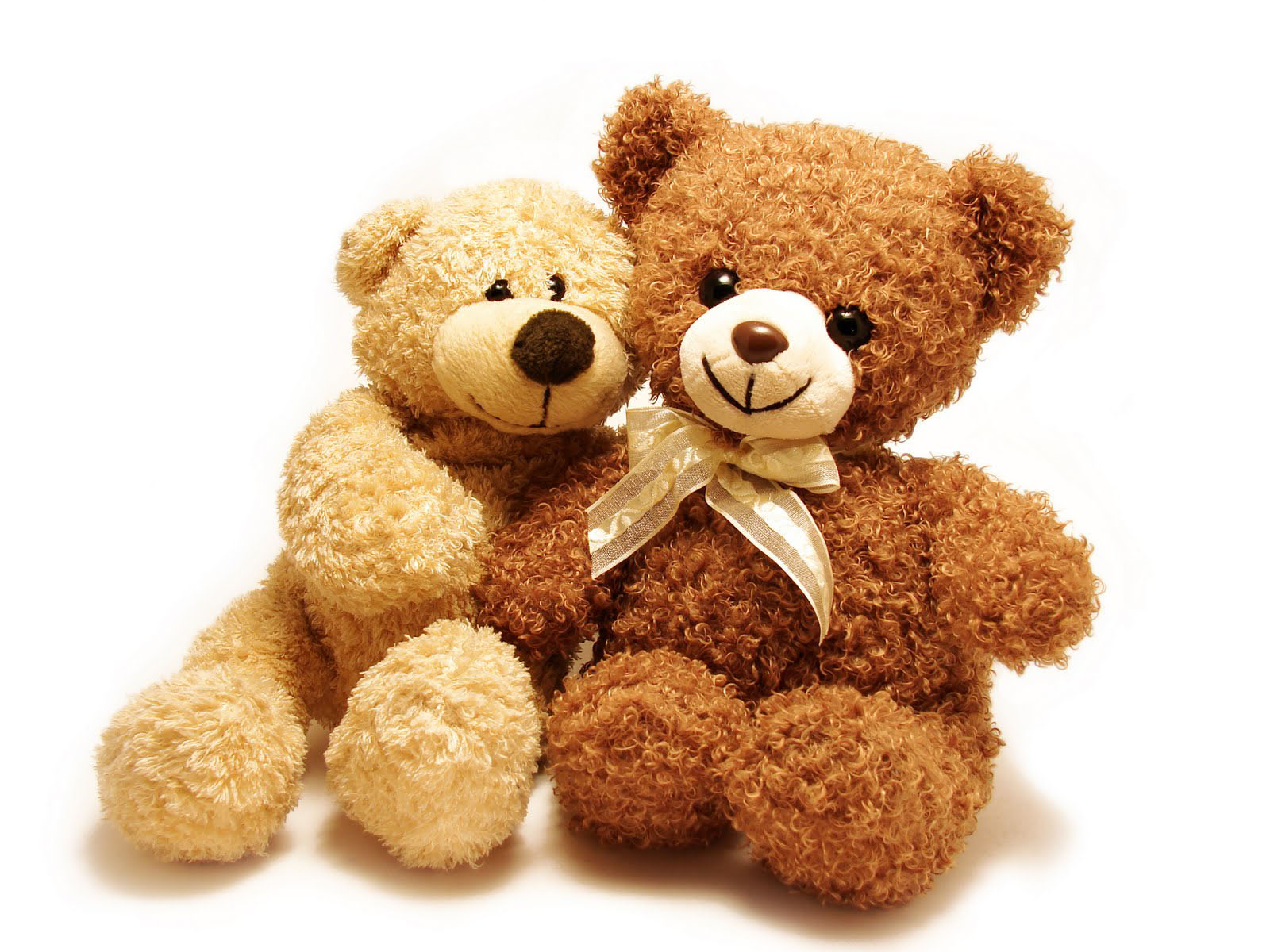 Detail Free Teddy Bear Pictures Nomer 47