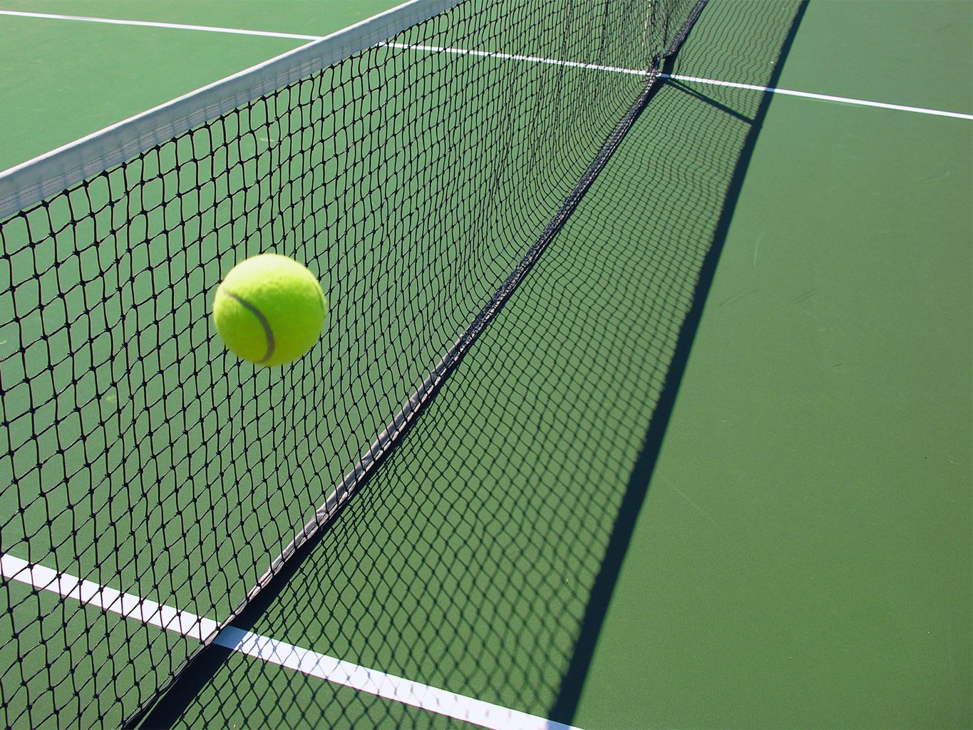 Detail Free Tennis Images Nomer 25