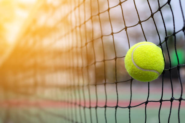 Detail Free Tennis Images Nomer 34