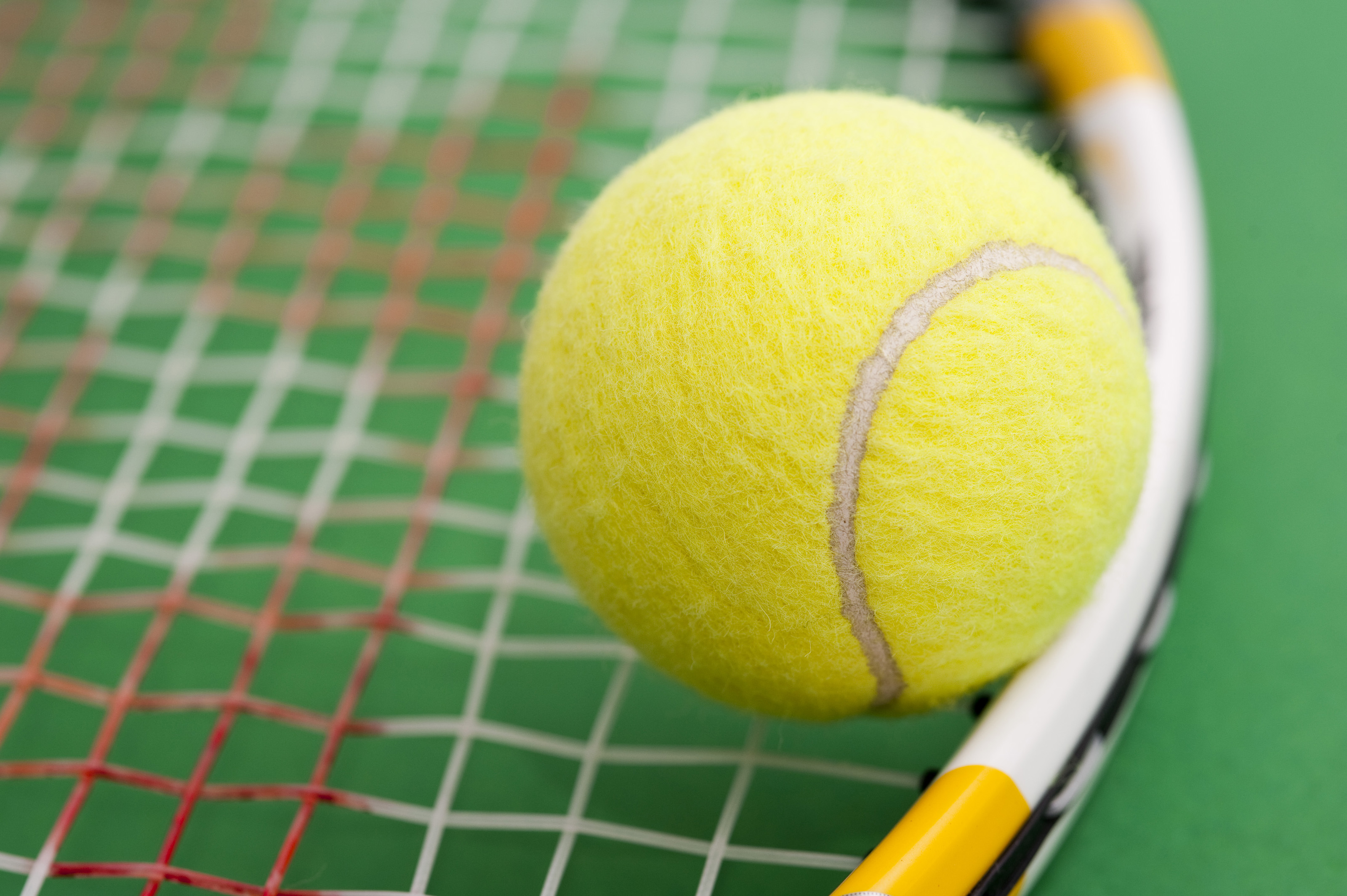 Detail Free Tennis Images Nomer 36