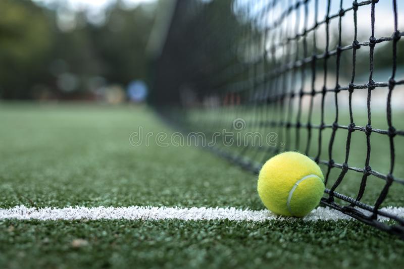 Detail Free Tennis Images Nomer 7