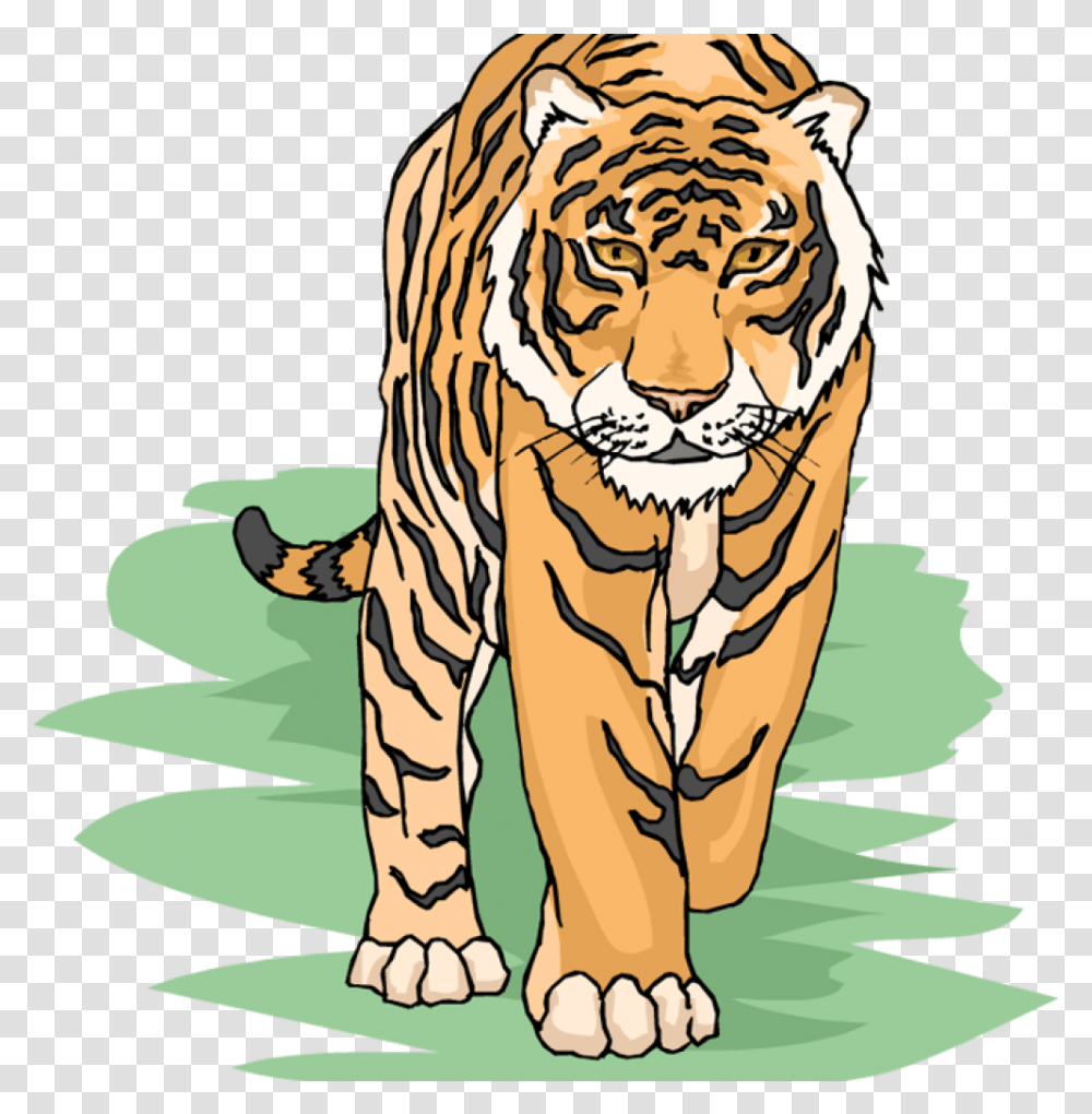 Detail Free Tiger Clipart Nomer 25