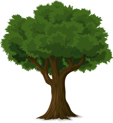 Free Tree Image - KibrisPDR