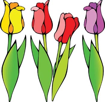 Detail Free Tulip Clipart Nomer 14