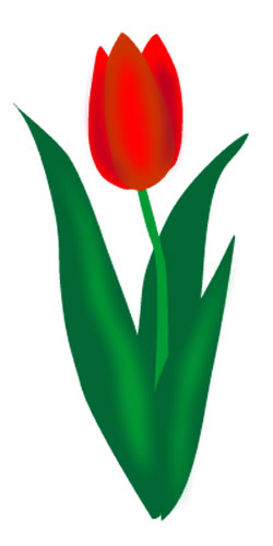 Detail Free Tulip Clipart Nomer 16