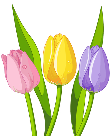 Detail Free Tulip Clipart Nomer 17