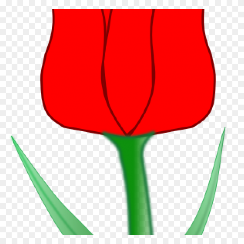 Detail Free Tulip Clipart Nomer 29