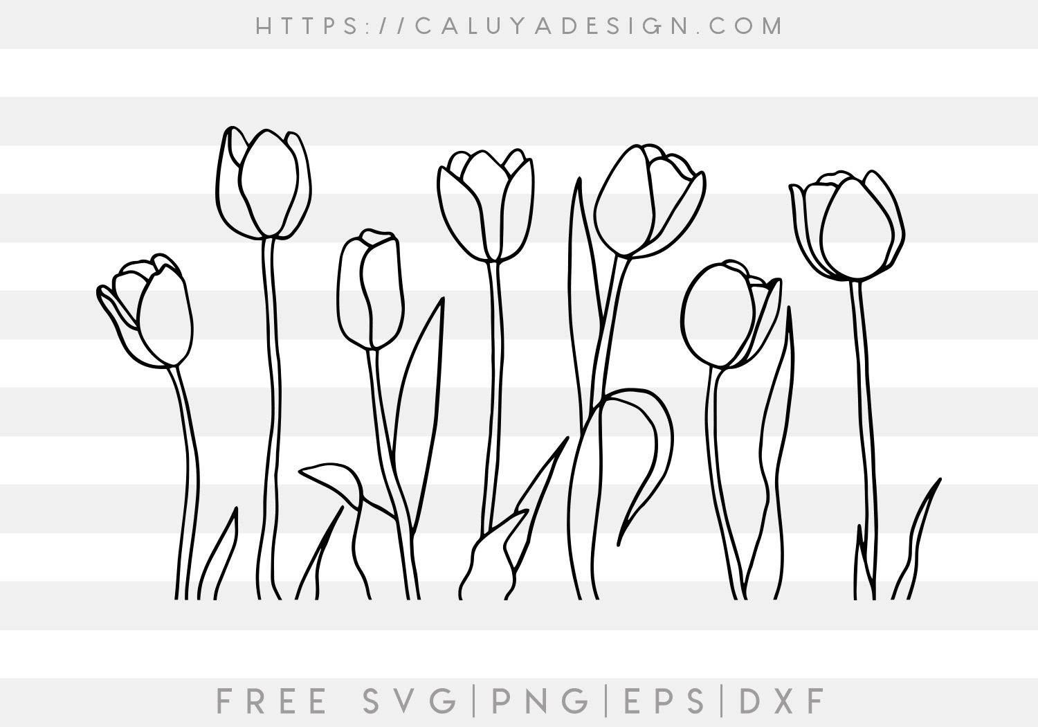 Detail Free Tulip Images Nomer 48