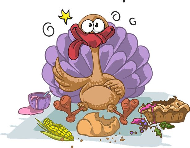 Detail Free Turkey Images Nomer 18