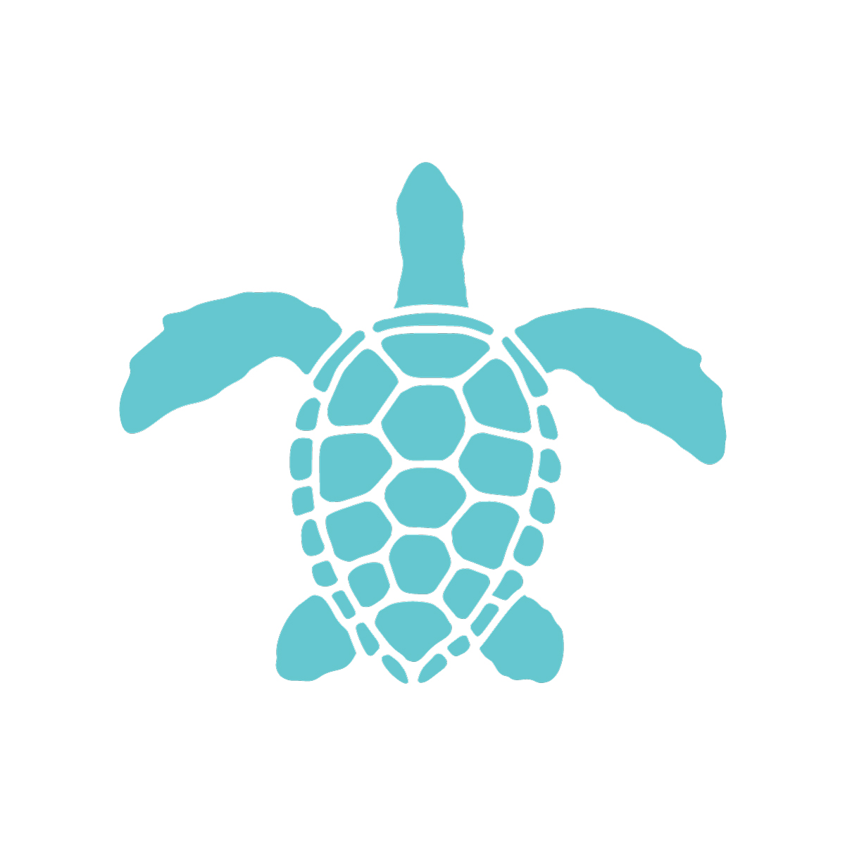 Detail Free Turtle Images Nomer 37