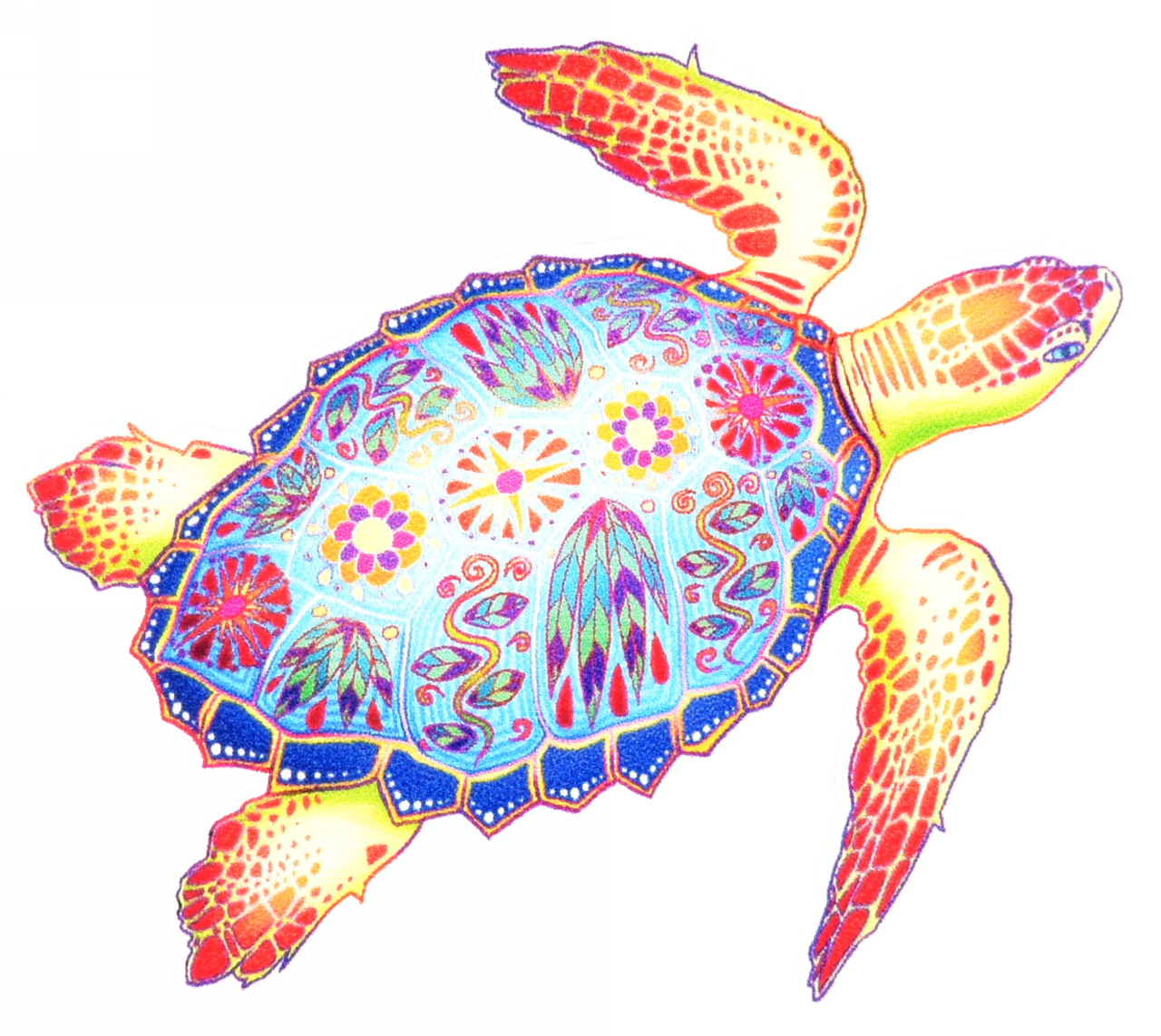 Detail Free Turtle Images Nomer 52