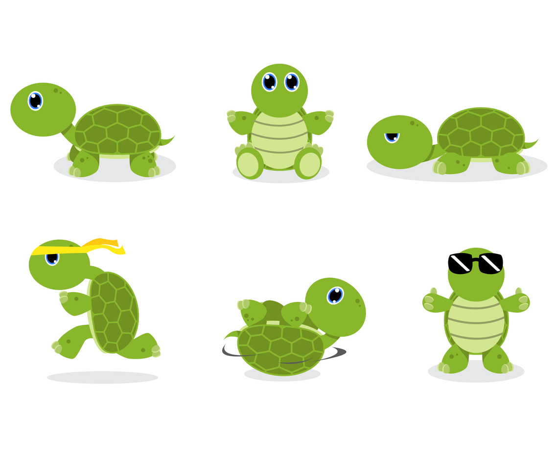 Detail Free Turtle Pictures Nomer 45