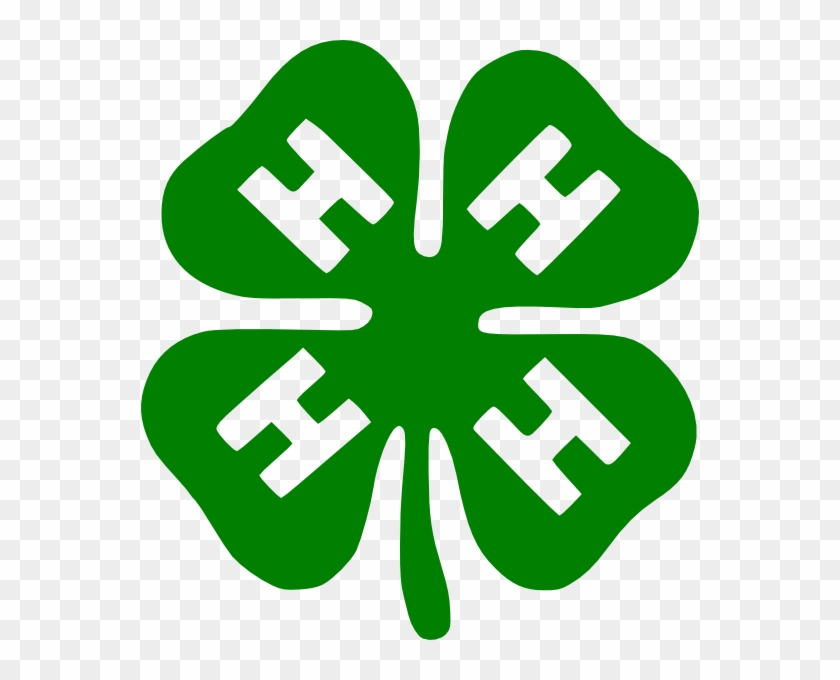 Detail Free Vector Shamrock Nomer 32