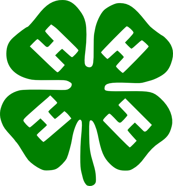 Detail Free Vector Shamrock Nomer 34