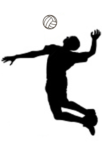 Detail Free Volleyball Clipart Images Nomer 36