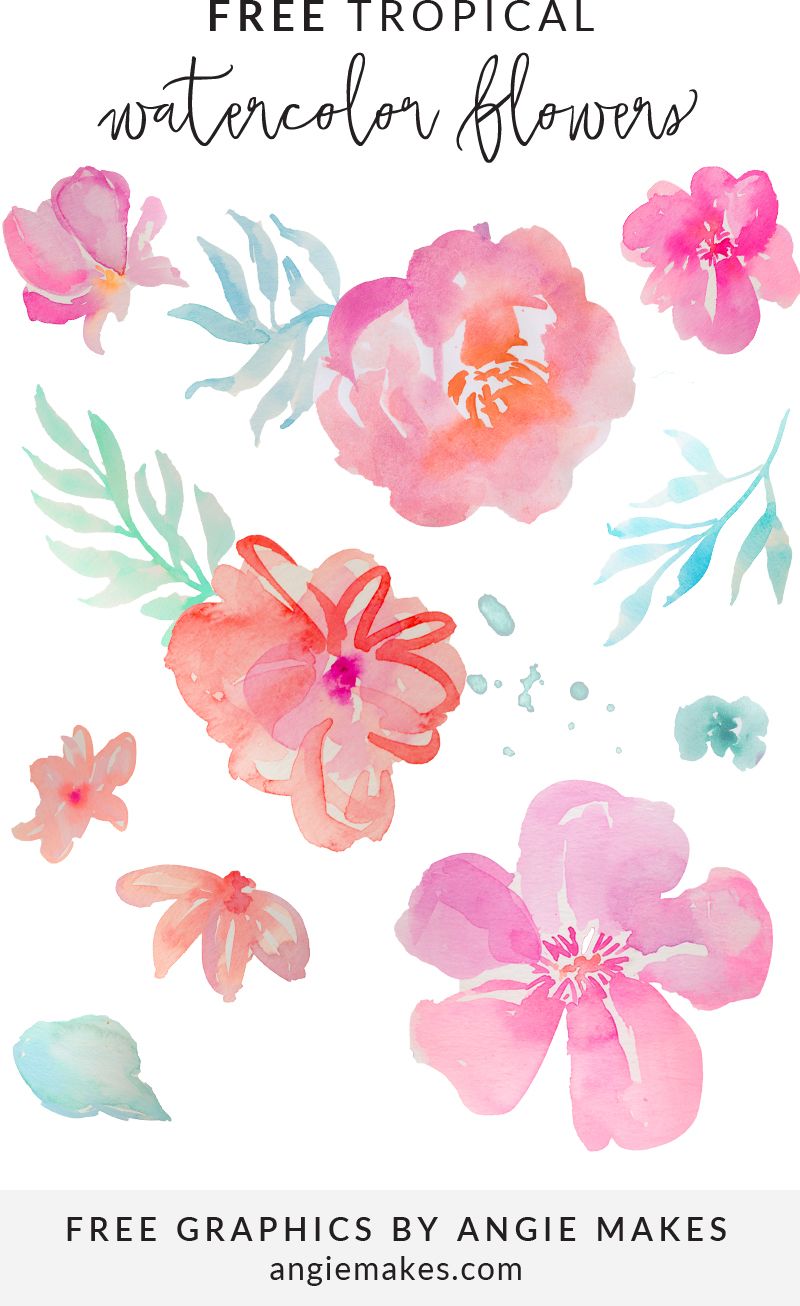 Detail Free Watercolor Flower Nomer 17