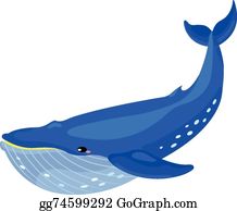 Detail Free Whale Clipart Nomer 23