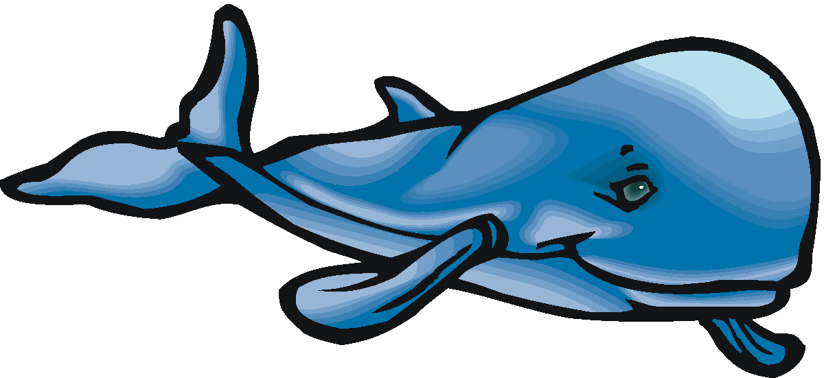 Detail Free Whale Clipart Nomer 37