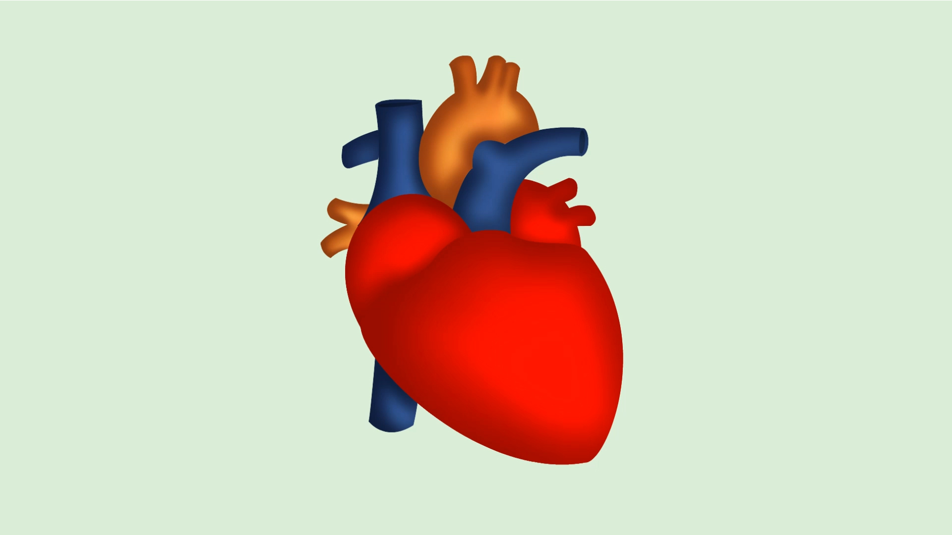 Detail Anatomisches Herz Zeichnung Nomer 20