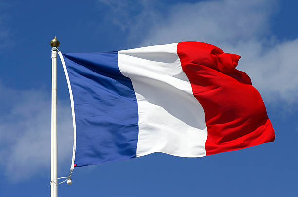 Detail French Flag Images Free Nomer 3