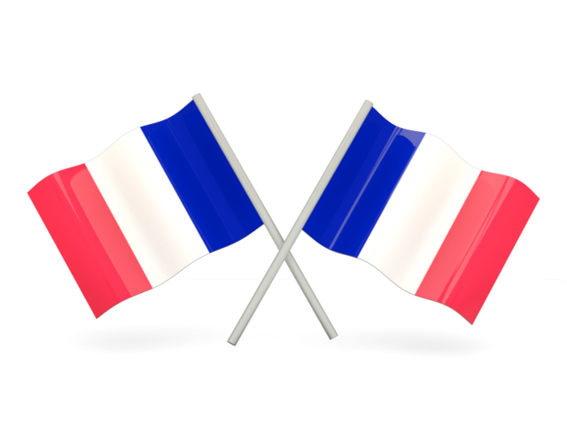Detail French Flag Png Nomer 37