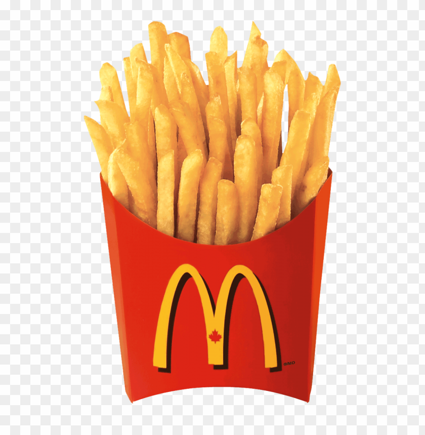 Detail French Fry Png Nomer 14