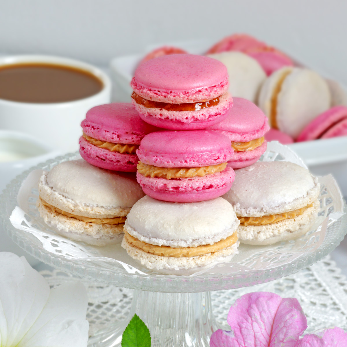 Detail French Macarons Images Nomer 13