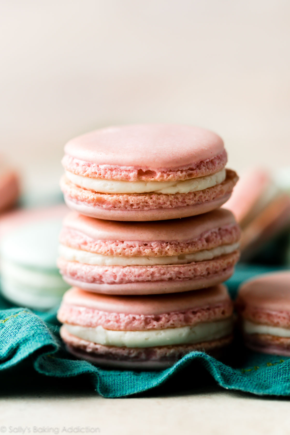 Detail French Macarons Images Nomer 15