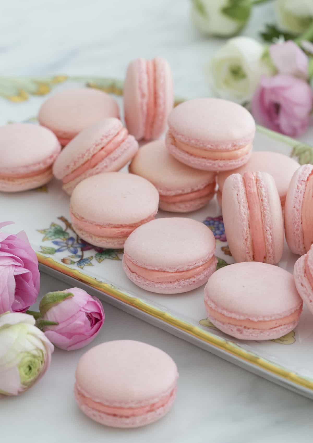 Detail French Macarons Images Nomer 4